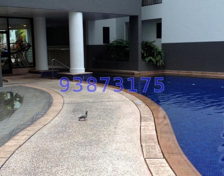 River Place (D3), Condominium #64544902